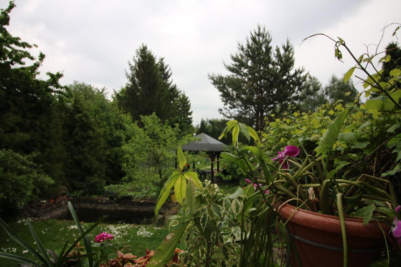 Pokoje Do Wynajecia Homestay Gizycko